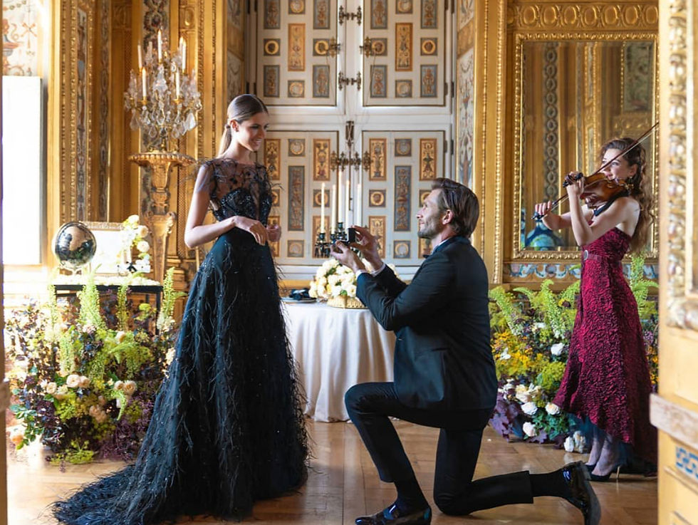 Proposal in Chateau Vaux le Vicomte