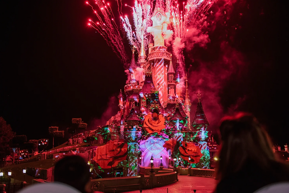 Disney Paris proposal castle lit up in red with roses with red fireworks 
