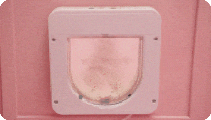 Komp 2-min.gif
