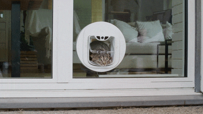 pawly_kickstarter_Bild12_2-min.gif