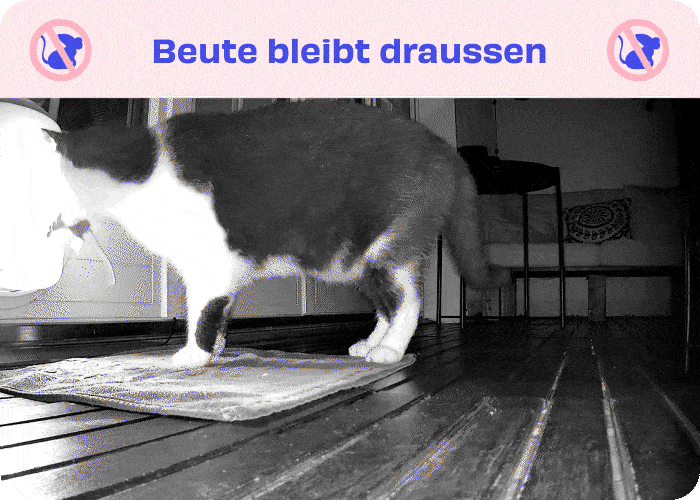 Bild_2_1-min.gif