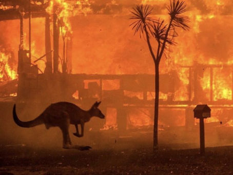 Amazon’s donation to the Australian wildfires provoked a backlash and Facebook's didn't - Why?