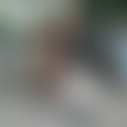 Sidewalk Runway: Students on the Power of Creativity