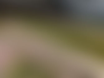 Final Week of Rotation and First Week of Concentration