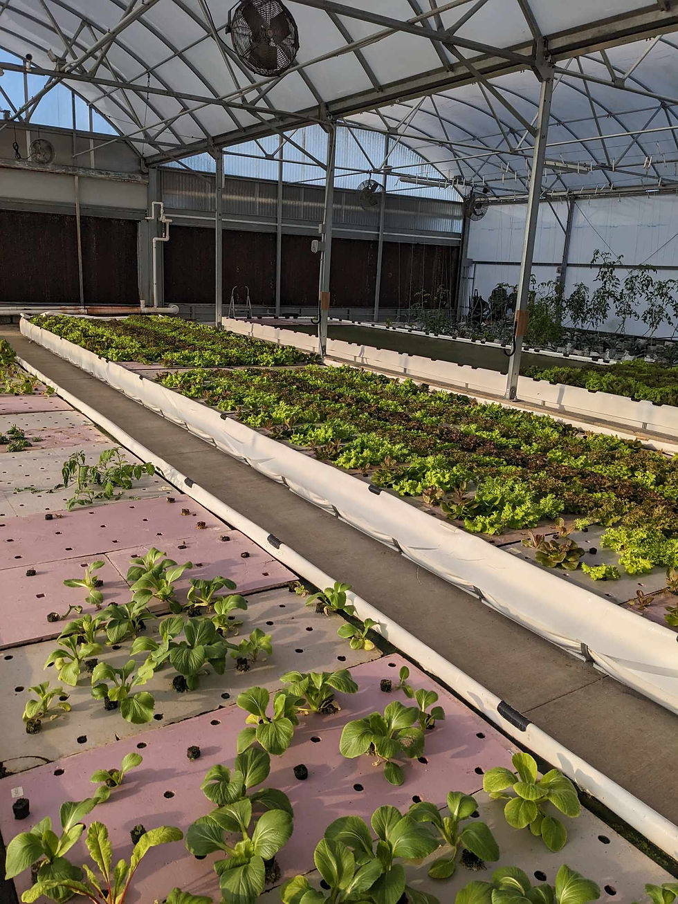 Final Week of Rotation and First Week of Concentration