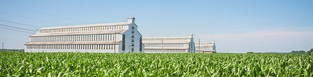 279862516_10159569360531943_607223230516