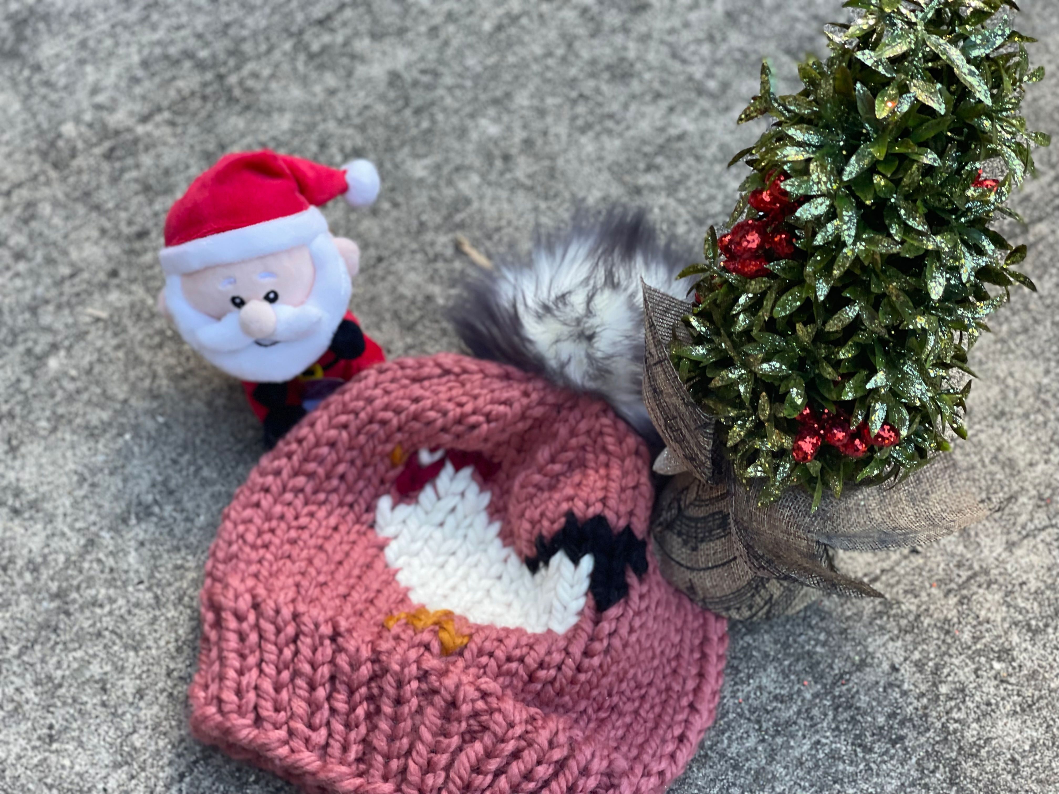 Multicolor tail Chicken hat