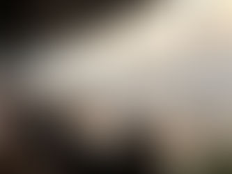 WASILがLEXUSのディーラー様に、インテリアアートとして採用されています。