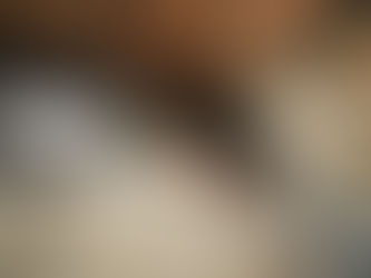 「WASIL ~Fabric Art Line~」を販売開始。株式会社三共晒のご紹介。