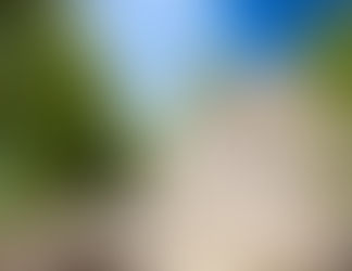 Add it to Your Mexico Itinerary: A Trip to Cobá