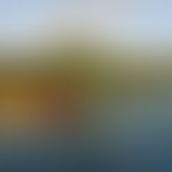 
A Nature-Lovers’ Paradise at Anse Chastanet