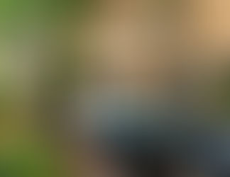 Bliss Awaits at Sandals Royal Plantation