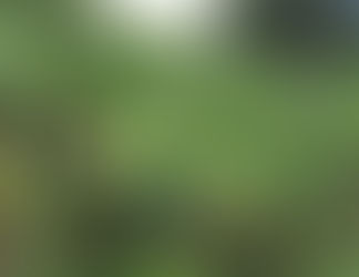 Plantation Tours in St. Lucia