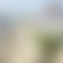 Common Destination Wedding Etiquette Questions, Answered