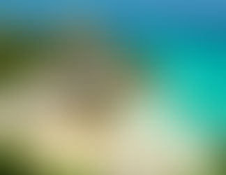 Essential Tips for a Trip to Cancun