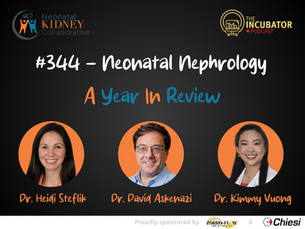 #344 - Neonatal Nephrology - A Year In Review