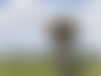 A Quote to Reflect Upon/ Una Cita Para Reflexionar 5