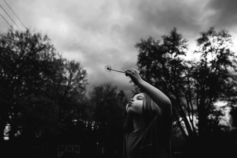 KIN_8223-2