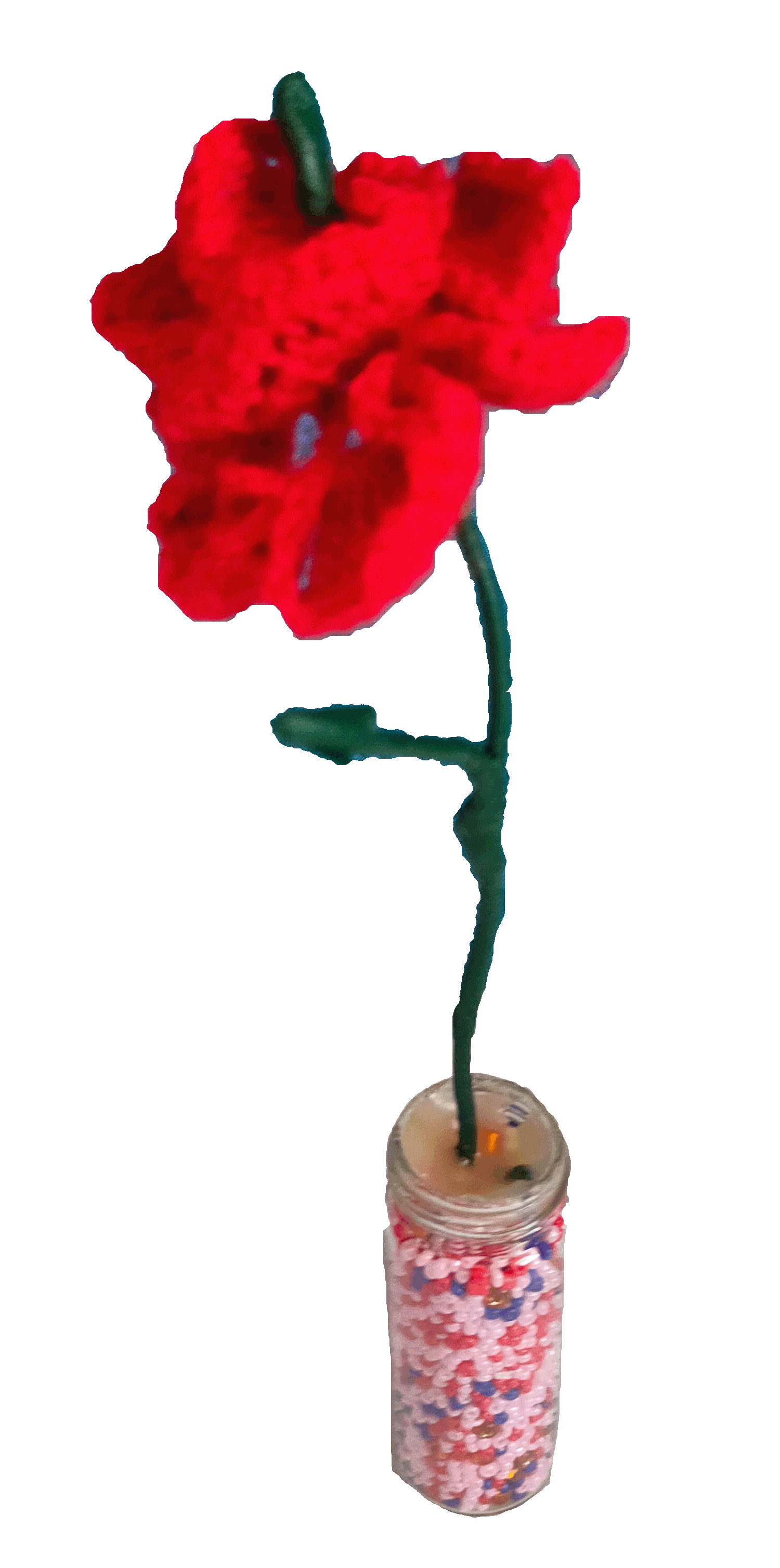 פרח אדום.gif