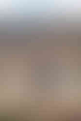 The bride and groom holding hands during their intimate labyrinth ceremony at Zion National Park.