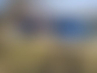 New Addition to the Family