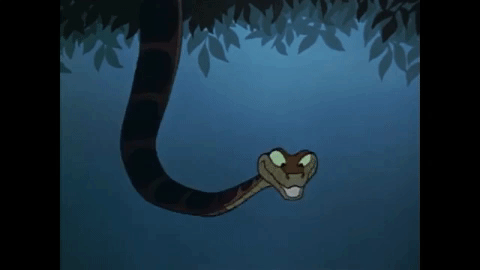 snake insurers.gif