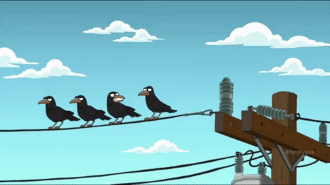 Crows loophole noone touch.gif