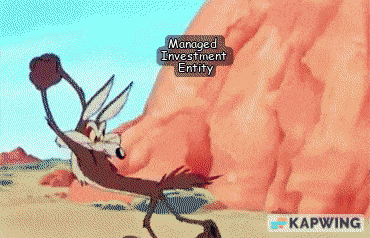 Wily fox tunnel.gif