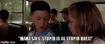 stupid is as stupid does.gif