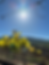 Eye-level view of vineyard rows stretching across sunlit hills