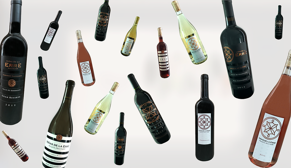 ERRE WINE BOTTLES.png