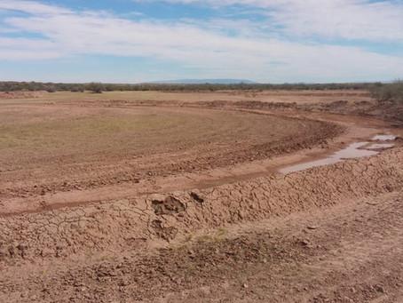 Día Mundial de Lucha contra la Desertificación y la Sequía, 17 junio 2020