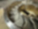 IMG_0883.jpeg