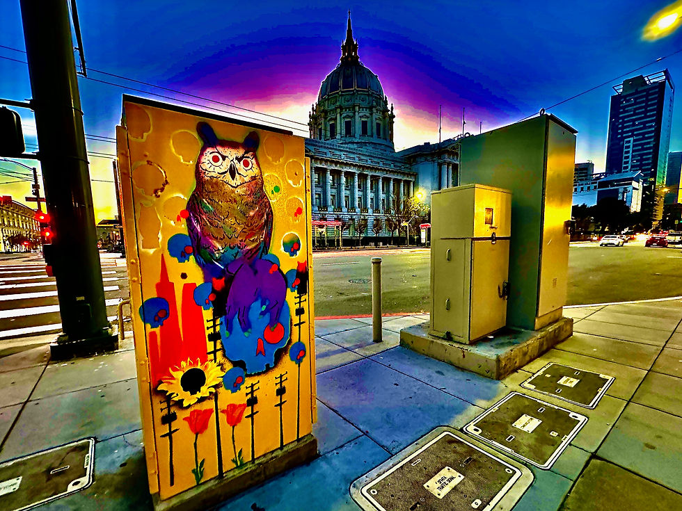 One of a series of public art displays created on the canvas of utility boxes. Van Ness & McAllister. 