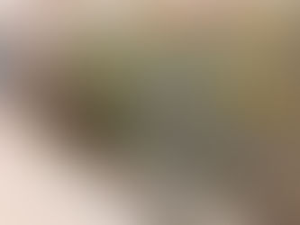 This Is Way Past Shoplifting.