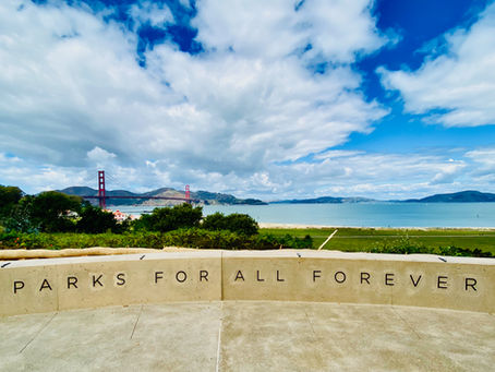 New Extended-Life Batteries.