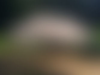 Your Tax Dollars At Work.