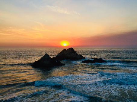 The Fiery End Of A California Forest.