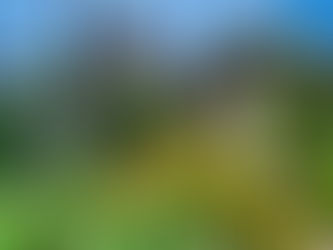 Recent & Random. Outer Judah.