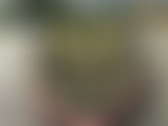 Death In The Garden.