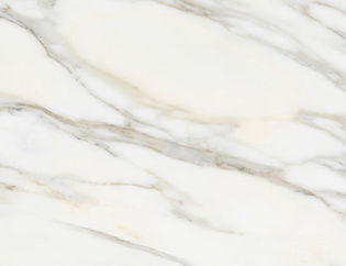 BORGHINI WHITE PULIDO