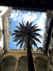 20190412_145055.jpg