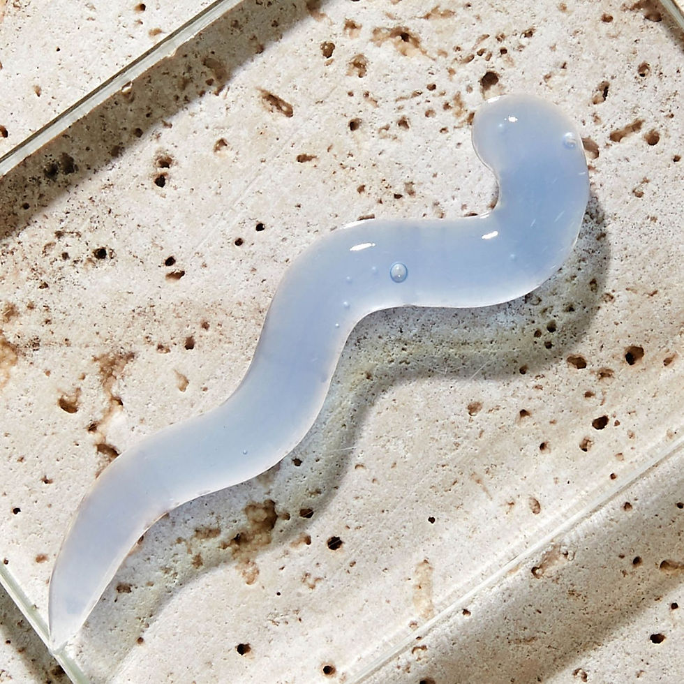 Miniature : Le Masque Anti-Soif