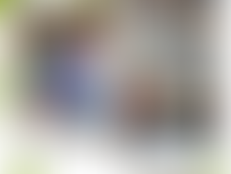 INFORMES | NOVEMBRO 2025