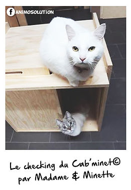web-Cabminet-madame-et-minette-1.jpg