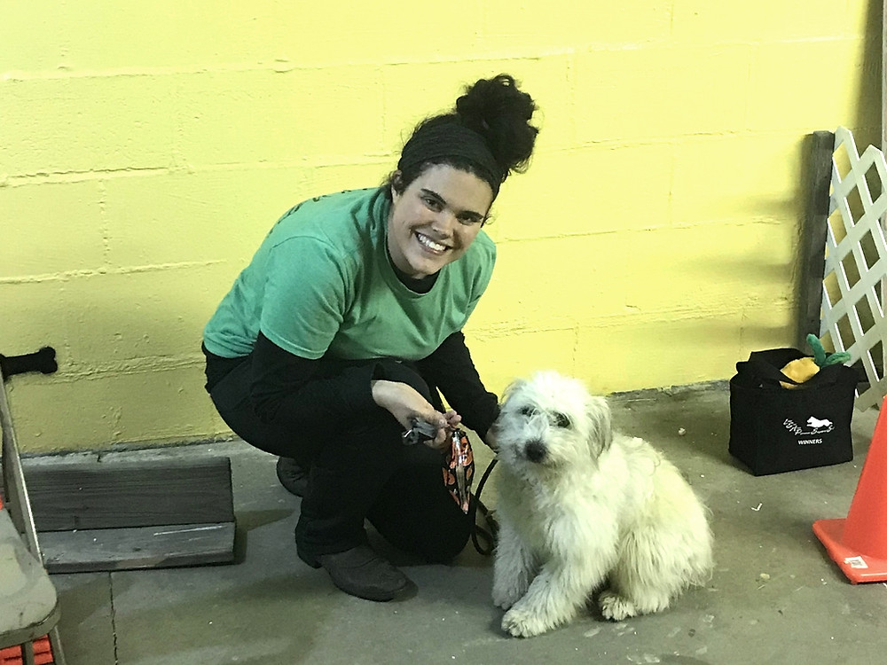 Local dog trainer wins national award in style