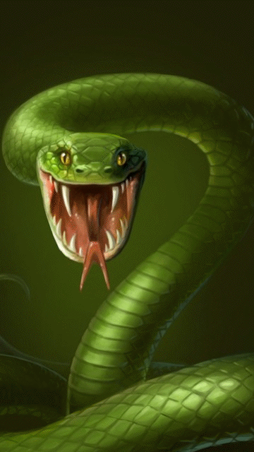 Snake.gif