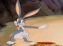 Rabbits and Holes.gif