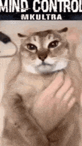 MKU.gif