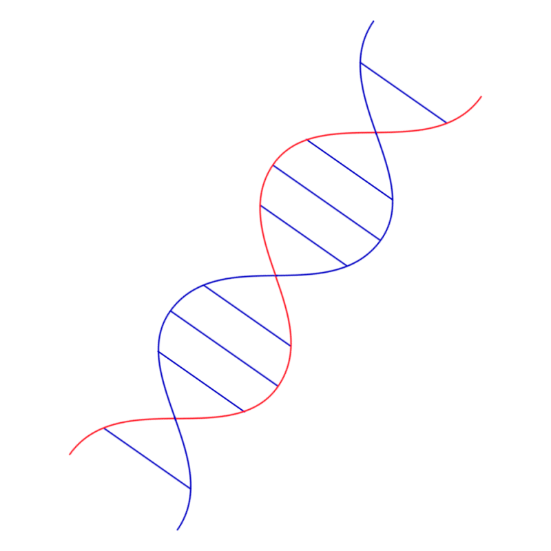 DNA.gif
